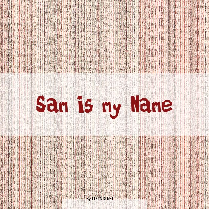 Sam is my Name example